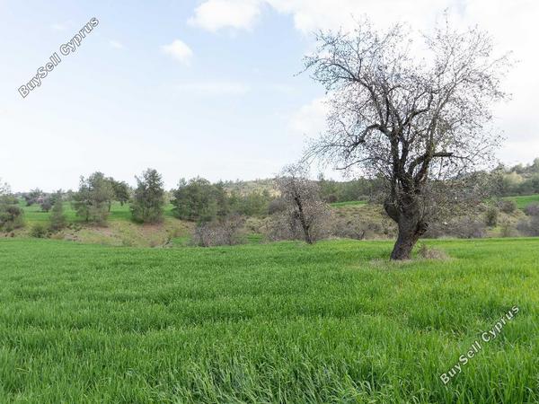 land for sale klirou nicosia 1037211 image 15600739