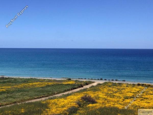 3 bedroom detached house for sale argaka paphos 1355311 image 9343185