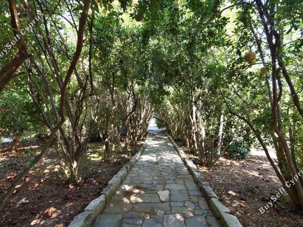 8 bedroom detached house for sale parekklisia limassol 7735311 image 10168686