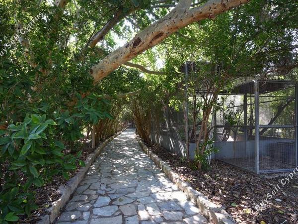 8 bedroom detached house for sale parekklisia limassol 7735311 image 10168689