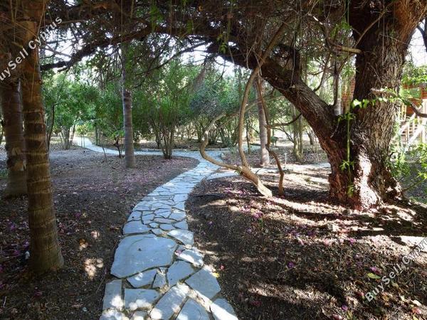 8 bedroom detached house for sale parekklisia limassol 7735311 image 10168691