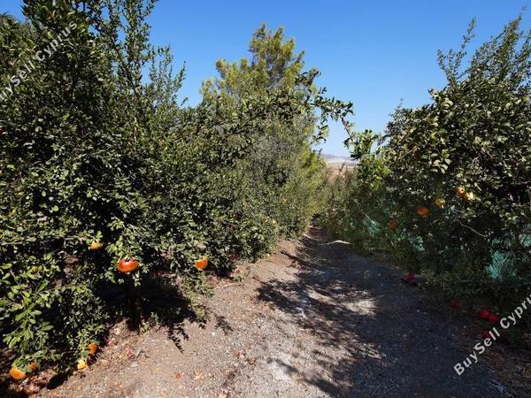 8 bedroom detached house for sale parekklisia limassol 7735311 image 10168694