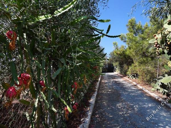 8 bedroom detached house for sale parekklisia limassol 7735311 image 10168695