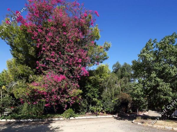 8 bedroom detached house for sale parekklisia limassol 7735311 image 10168697