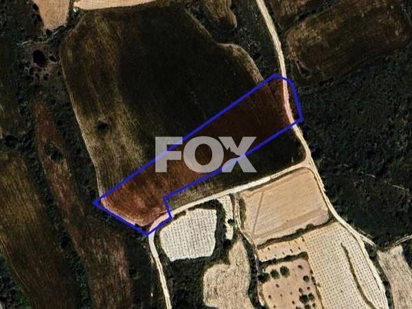 land for sale kathikas paphos 1301311 image 5588843
