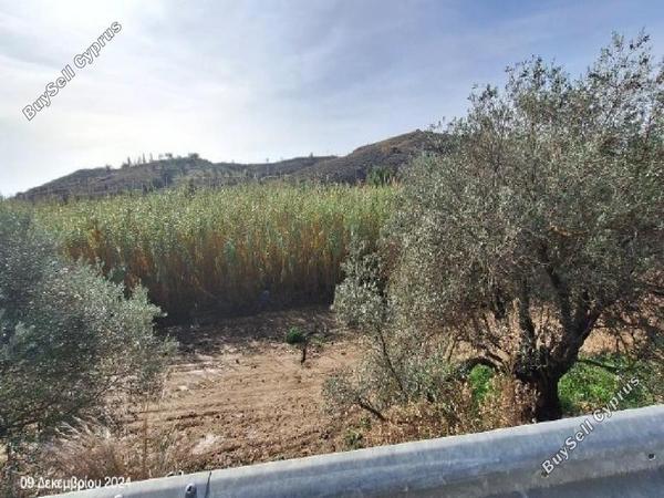 land for sale troulloi larnaca 1937311 image 7655570