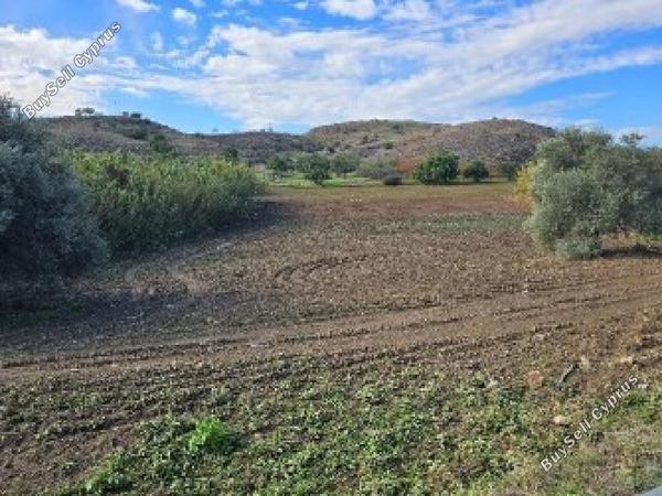 land for sale troulloi larnaca 1937311 image 7655571