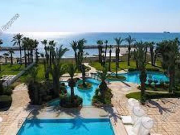 studio hotel for sale dekeleia larnaca 1794311 image 5946966