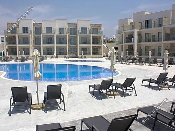 studio hotel for sale kato paphos paphos 7739311 image 12572021