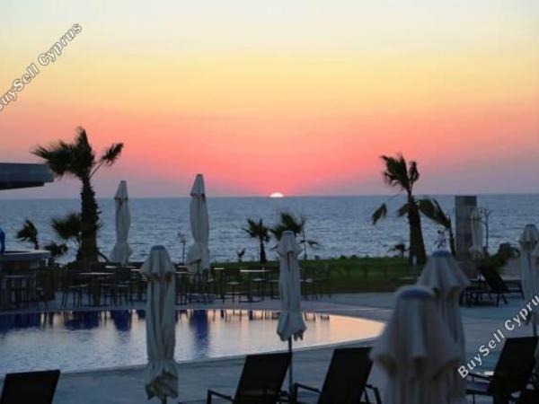 studio hotel for sale kato paphos paphos 7739311 image 12572034