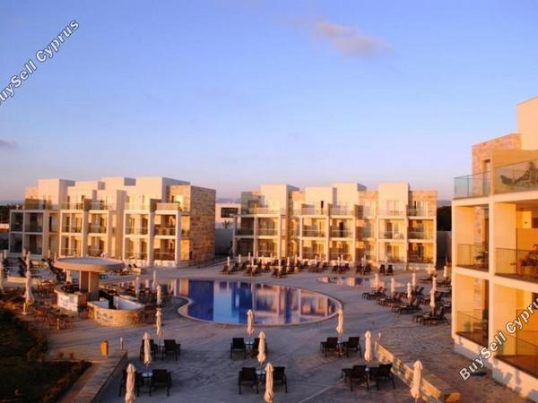 studio hotel for sale kato paphos paphos 7739311 image 12572038