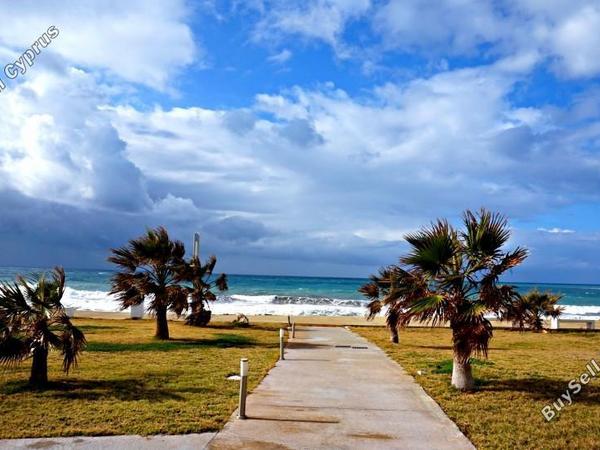 studio hotel for sale kato paphos paphos 7739311 image 12572041