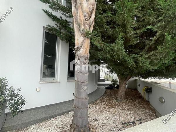 3 bedroom detached house for sale strovolos nicosia 1729411 image 6803151