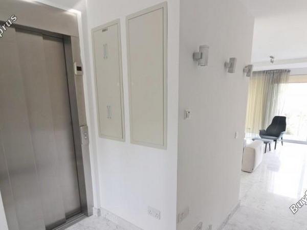 4 bedroom detached house for sale latsi paphos 8395411 image 16044370