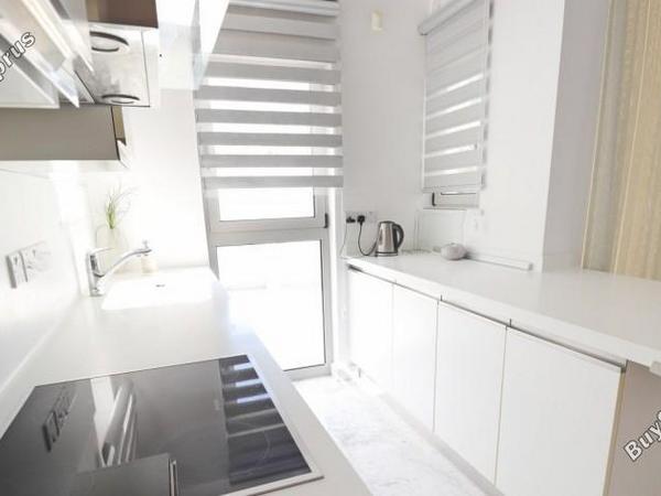 4 bedroom detached house for sale latsi paphos 8395411 image 16044372