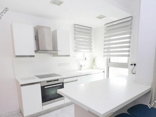 4 bedroom detached house for sale latsi paphos 8395411 image 16044373