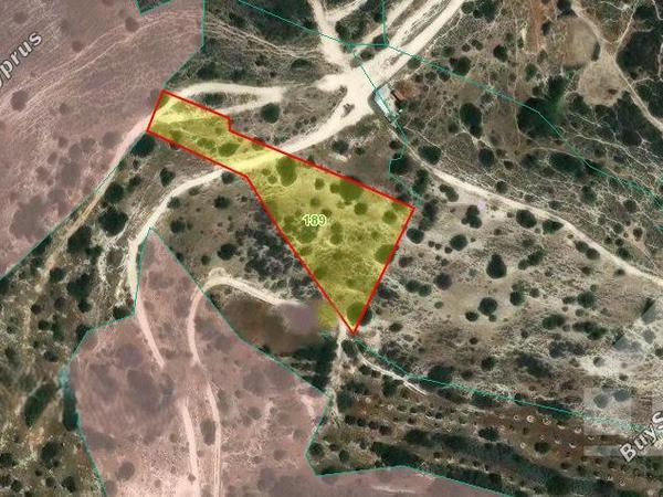 land for sale alethriko larnaca 7906411 image 16169169