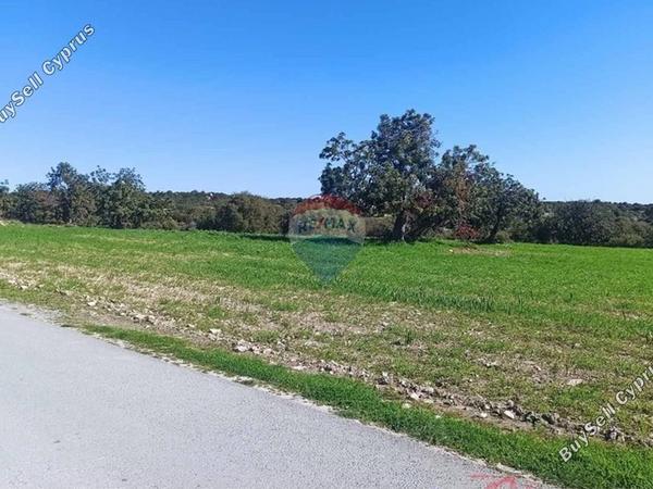 land for sale anogyra limassol 7953411 image 14121821