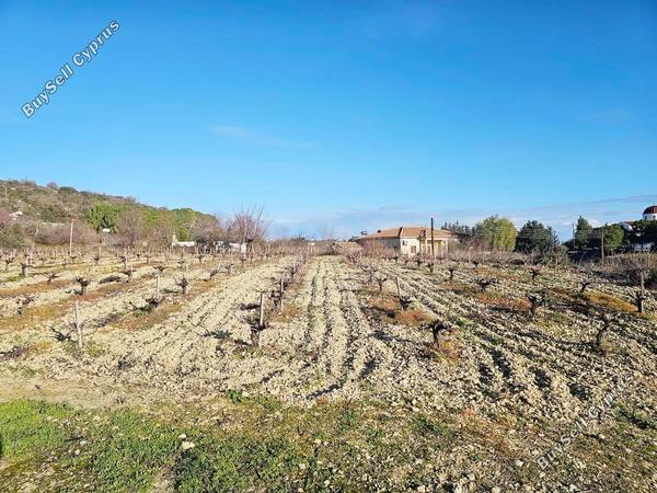 land for sale theletra paphos 1841411 image 6583918