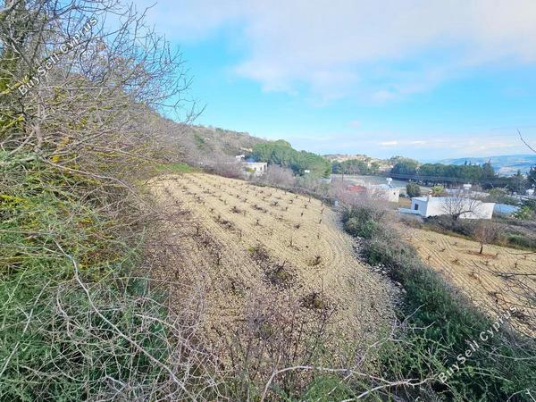 land for sale theletra paphos 1841411 image 6583929