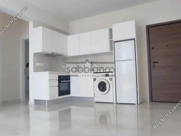 2 bedroom apartment for rent strovolos nicosia 8748511 image 16465495