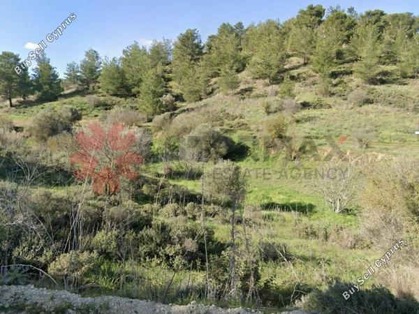 land for sale kapedes nicosia 8260511 image 13918163