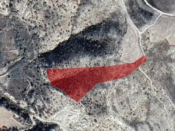 land for sale trahipedoula paphos 960511 image 17102728