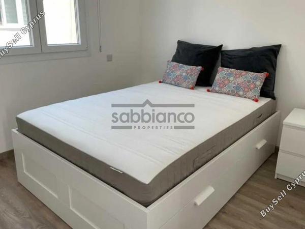 1 bedroom apartment for rent egkomi nicosia 8749611 image 16477313