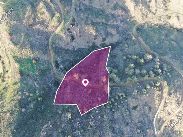 land for sale pigenia nicosia 8629611 image 15869219