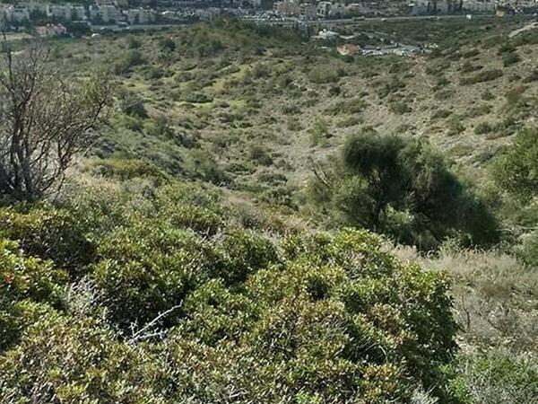 land for sale pyrgos limassol limassol 635611 image 340607