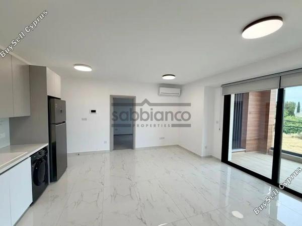 2 bedroom apartment for rent limassol municipality limassol 8791711 image 16682429