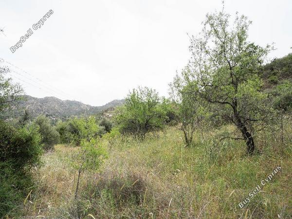land for sale kaliana nicosia 8406711 image 14885396