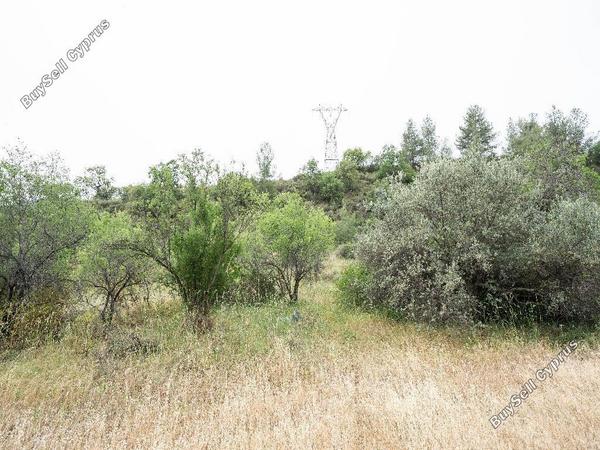 land for sale kaliana nicosia 8406711 image 14885398