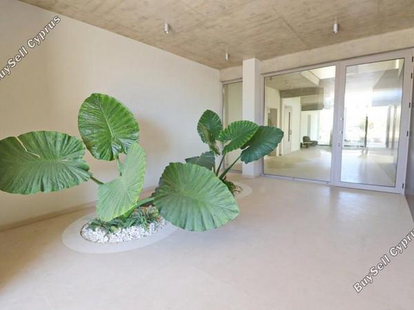 3 bedroom penthouse for sale kato paphos paphos 7703811 image 13843733