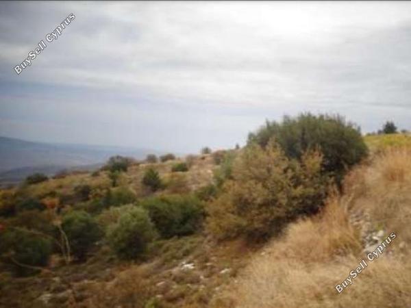 land for sale kilinia paphos 945811 image 15600334