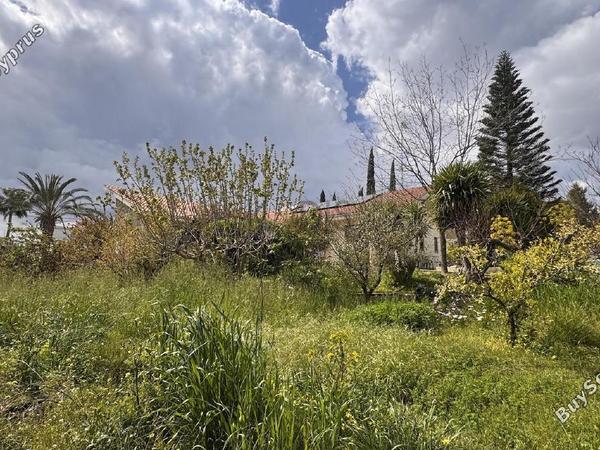 3 bedroom detached house for sale skarinou larnaca 8468911 image 15424009