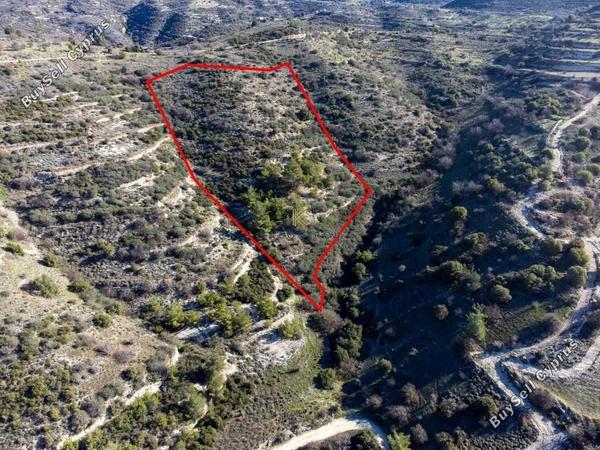 land for sale dora limassol 1194911 image 5572564