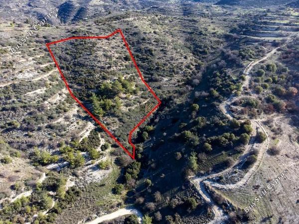land for sale dora limassol 1194911 image 5572567