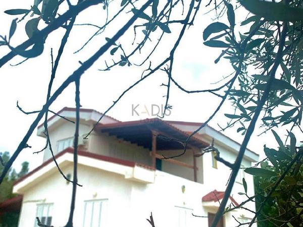 3 bedroom detached house for sale moni limassol 8608021 image 15785894