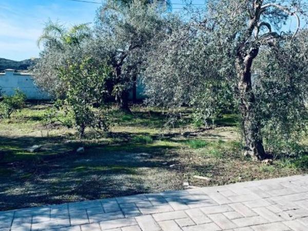3 bedroom detached house for sale moni limassol 8608021 image 15785902