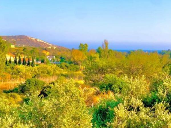 3 bedroom detached house for sale moni limassol 8608021 image 15785910