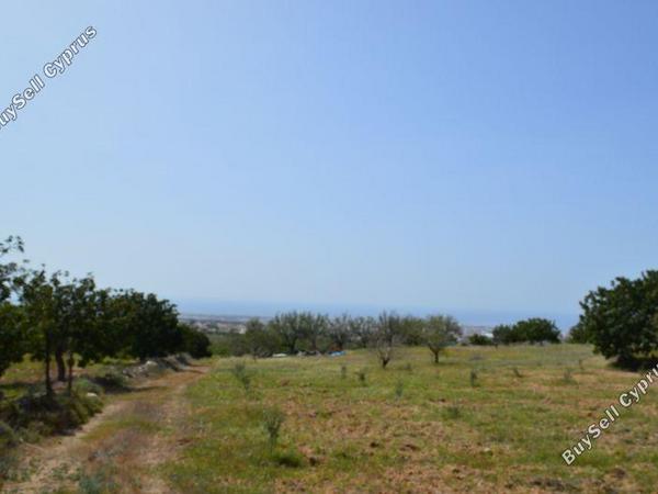 land for sale armou paphos 617021 image 299162
