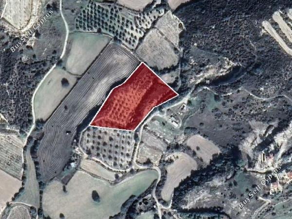land for sale pissouri limassol 946021 image 16009250