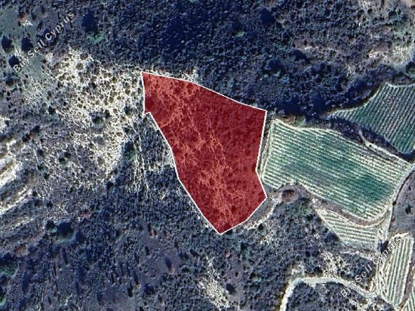 land for sale dora limassol 8716121 image 16294218