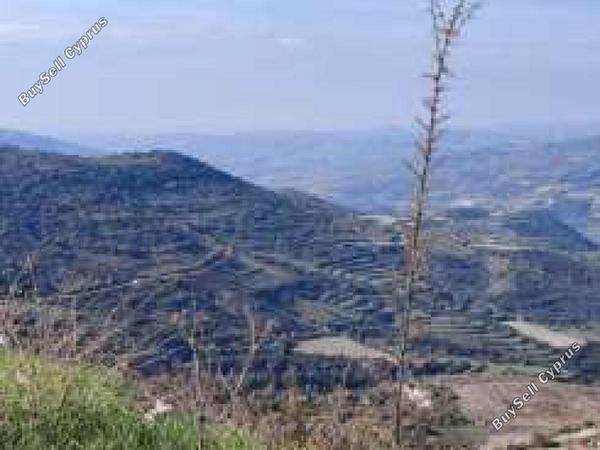 land for sale dora limassol 8716121 image 16294219