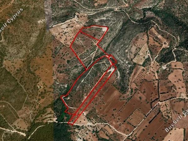 land for sale neo chorio paphos 1355121 image 13008985