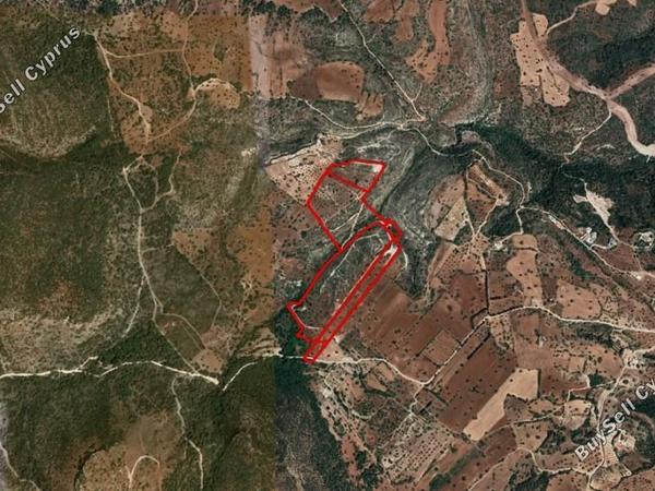 land for sale neo chorio paphos 1355121 image 13008986