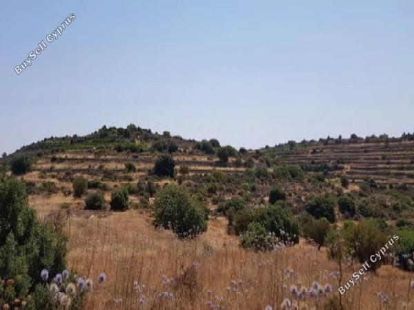land for sale pachna limassol 1369121 image 15599703
