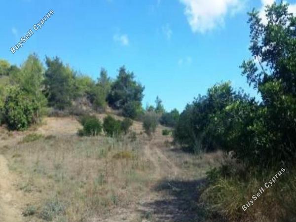 land for sale peristerona pafou paphos 1279121 image 15598641