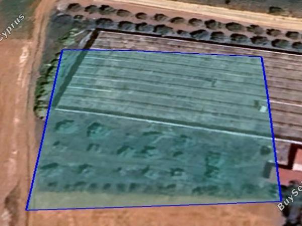 plot for sale kokkinotrimithia nicosia 1432121 image 16168752
